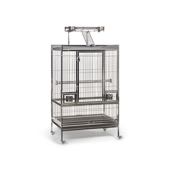 Tucker Murphy Pet™ Keeling Stainless Steel Play Top Bird Cage with Wheels/Casters & Reviews
